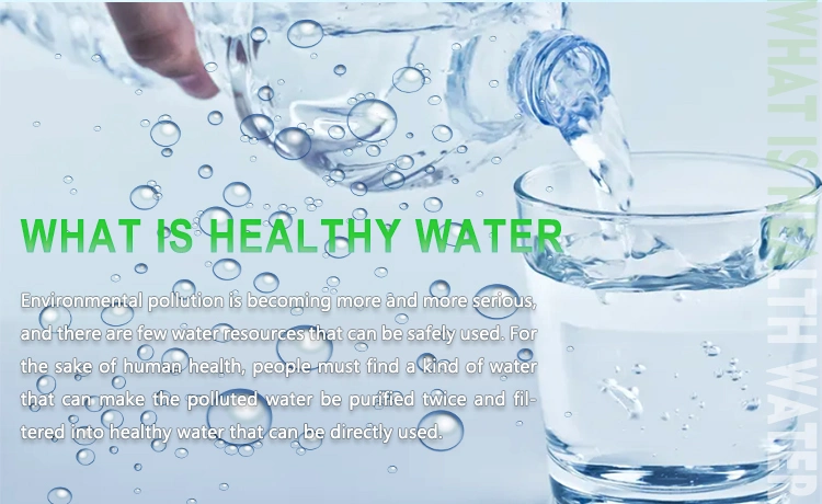  sistemas da purificação de água do Ultrafiltration 50m3/H (F)
